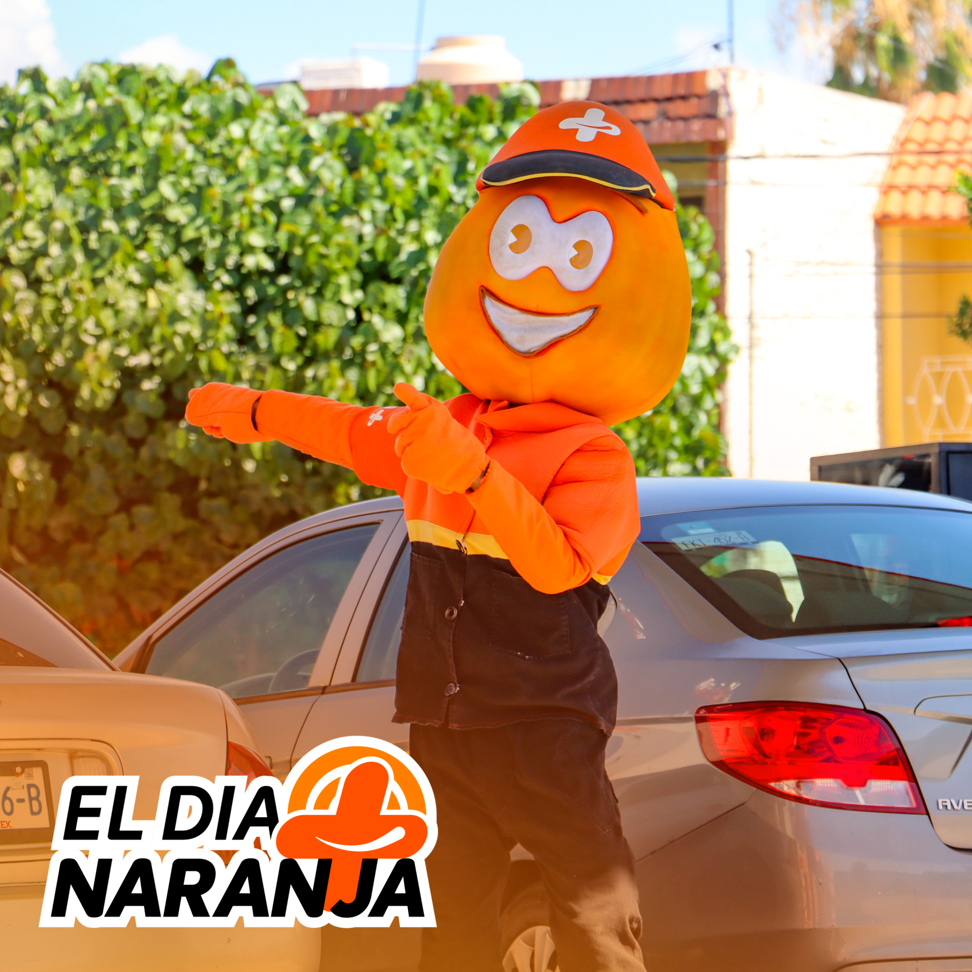 Imagen de la publicación